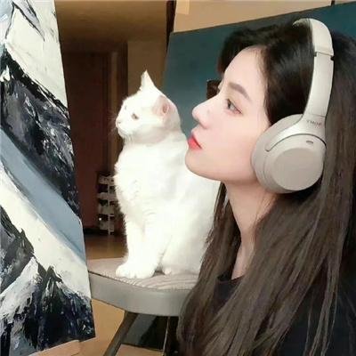 八美图